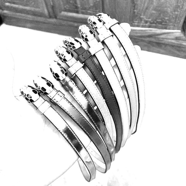 fahmi fashion snake head calfskin bracelet adjustable green flash eyes cool and gentle unique design and ultimate craft multi-color optional, Silver
fahmi fashion snake head calfskin bracelet adjustable green flash eyes cool and gentle unique design and ultimate craft multi-color optional, Silver