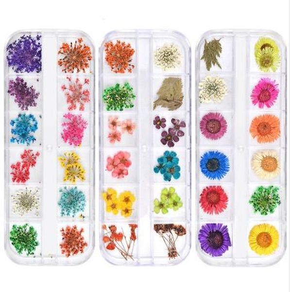 12 colors dried flowers nail art decorations 3d natural daisy gypsophila preserved dry flower diy stickers manicure accessories, Silver;gold
12 colors dried flowers nail art decorations 3d natural daisy gypsophila preserved dry flower diy stickers manicure accessories, Silver;gold