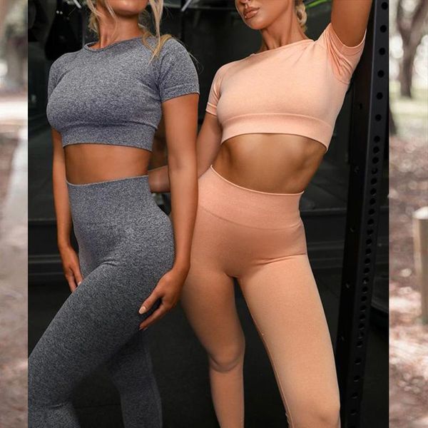 yoga set women seamless tracksuits fitness short sleeve sport suit gym running workout clothing pants sport sets, White;red
yoga set women seamless tracksuits fitness short sleeve sport suit gym running workout clothing pants sport sets, White;red