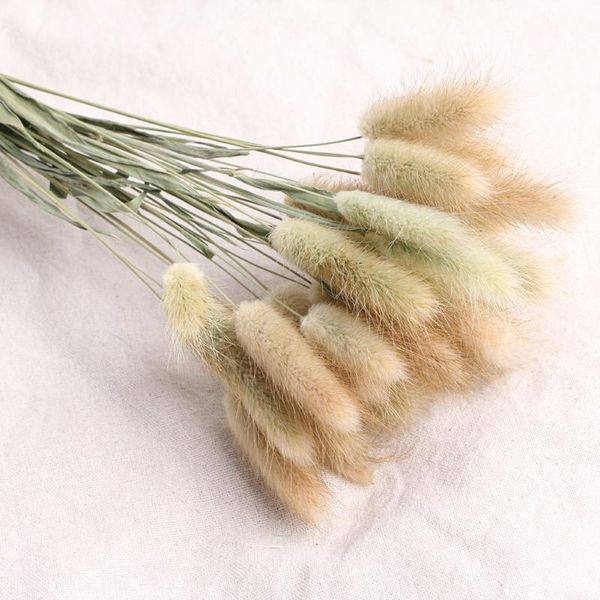30pcs p props tail grass dried flower florist natural gift home decor party ornament wedding artificial bouquet
30pcs p props tail grass dried flower florist natural gift home decor party ornament wedding artificial bouquet