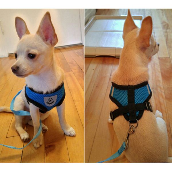 dog harness pet adjustable reflective vest walking lead leash for puppy polyester mesh harness for dog
dog harness pet adjustable reflective vest walking lead leash for puppy polyester mesh harness for dog