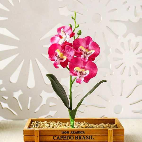 украшения искусственный phalaenopsis бонсай diy craft flower герметичный garden home
украшения искусственный phalaenopsis бонсай diy craft flower герметичный garden home
