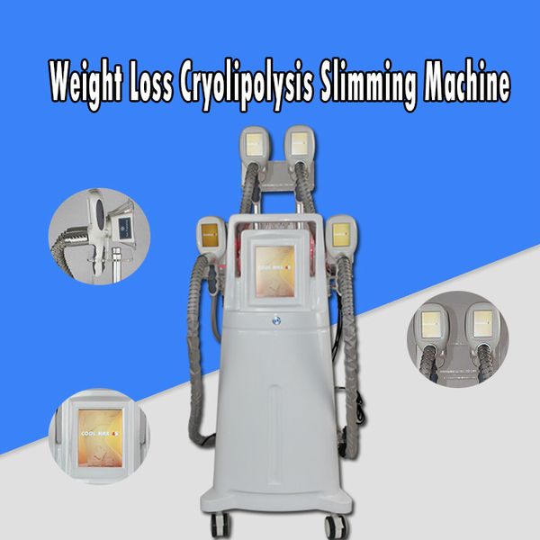 машина машины потери веса оборудования cryotherapy тучная замерзая для тела уменьшая фотон 4 cryo красного света регулирует работу совместно
машина машины потери веса оборудования cryotherapy тучная замерзая для тела уменьшая фотон 4 cryo красного света регулирует работу совместно