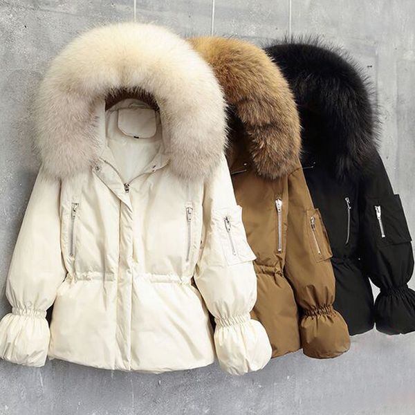 winter jacket women white duck down jacket 2019 female coat women loose thick parka large real natural raccoon fur hood coat, Black
winter jacket women white duck down jacket 2019 female coat women loose thick parka large real natural raccoon fur hood coat, Black