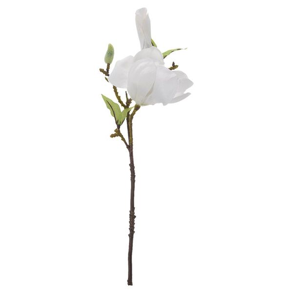 fashion artificial fake flowers leaf magnolia floral wedding bouquet party decor(white)
fashion artificial fake flowers leaf magnolia floral wedding bouquet party decor(white)