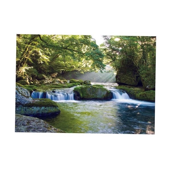 fish tank landscape poster fish tank wall background picture - forest
fish tank landscape poster fish tank wall background picture - forest