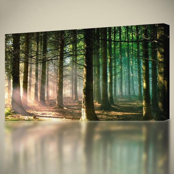 paintings forest fantasy scenery full square round drill 5d diy large size diamond painting ;landscape mosaic embroidery kit
paintings forest fantasy scenery full square round drill 5d diy large size diamond painting ;landscape mosaic embroidery kit