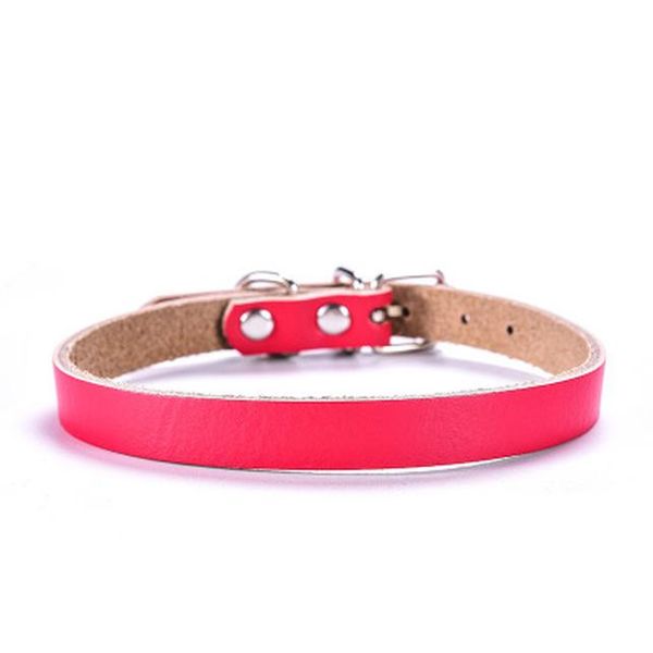 pet with flat link show chain collar cinnamon collari per cani rope collar dog accessories bdegarden rdebn
pet with flat link show chain collar cinnamon collari per cani rope collar dog accessories bdegarden rdebn