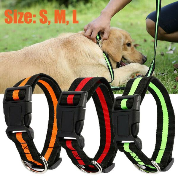 new adjustable dog puppy cat pet safety nylon necklace buckle neck collar puppy dog cat pet pet use 2020
new adjustable dog puppy cat pet safety nylon necklace buckle neck collar puppy dog cat pet pet use 2020