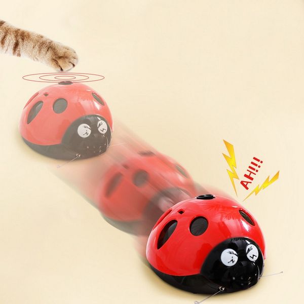 cat игрушки привет смешные стик kitty doggy автоматическая электрическая зоотовары другие товары cat
cat игрушки привет смешные стик kitty doggy автоматическая электрическая зоотовары другие товары cat