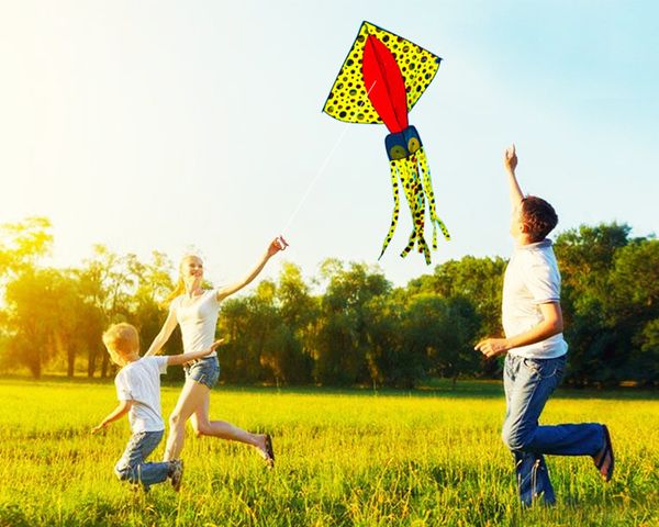 2020 new ocs squid tuna kite soft inflatable kite marine animal kite outdoor sport fun flying tool toys for children
2020 new ocs squid tuna kite soft inflatable kite marine animal kite outdoor sport fun flying tool toys for children