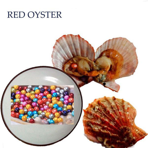 wholesale 2020 diy 27 colors round akoya single pearls oysters 6-7mm, individually wrapped, great party gift red shell mussel, White
wholesale 2020 diy 27 colors round akoya single pearls oysters 6-7mm, individually wrapped, great party gift red shell mussel, White