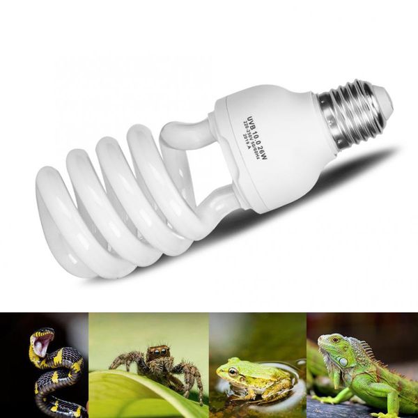 reptile uvb lamp bulb lizard snake heat calcium ultraviolet lamp solar energy saving light reptile lamp e27
reptile uvb lamp bulb lizard snake heat calcium ultraviolet lamp solar energy saving light reptile lamp e27