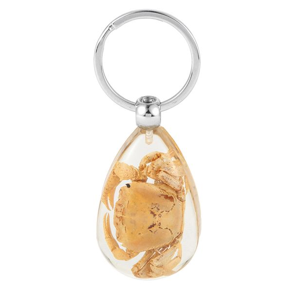 scorpion crab insect transparent resin key chain handmade resin natural green pendant key ring unique for woman man, Silver
scorpion crab insect transparent resin key chain handmade resin natural green pendant key ring unique for woman man, Silver