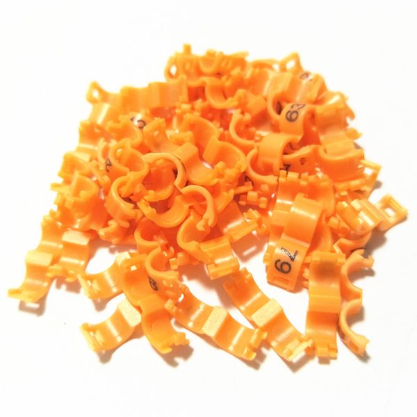 20 pcs inner 2.7mm 3mm 4mm 4.5mm 5mm bird dove pigeon parrot leg rings small birds foot rings bird clip ring
20 pcs inner 2.7mm 3mm 4mm 4.5mm 5mm bird dove pigeon parrot leg rings small birds foot rings bird clip ring