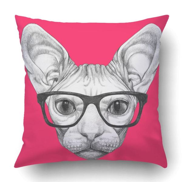 throw pillow case for bedroom couch home portrait of sphynx cat with glasses square inches funny cat
throw pillow case for bedroom couch home portrait of sphynx cat with glasses square inches funny cat