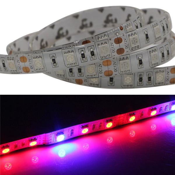 led grow light strip растительные полосы света полный спектр красный синий 3: 1 rope light для аквариума парниковых гидропоники pant крытый
led grow light strip растительные полосы света полный спектр красный синий 3: 1 rope light для аквариума парниковых гидропоники pant крытый