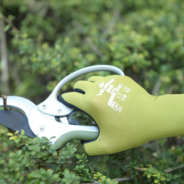 soft, comfortable, anti-slip and wear-resisting gardening gloves. most widely used as work gloves in warehouse, garden, construction, agricu
soft, comfortable, anti-slip and wear-resisting gardening gloves. most widely used as work gloves in warehouse, garden, construction, agricu