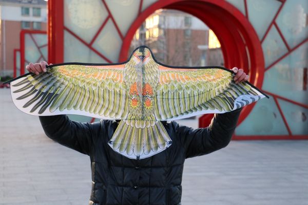 10 pcs mix random color diy eagle painting kites wholesale outdoor flying toys without handle line
10 pcs mix random color diy eagle painting kites wholesale outdoor flying toys without handle line