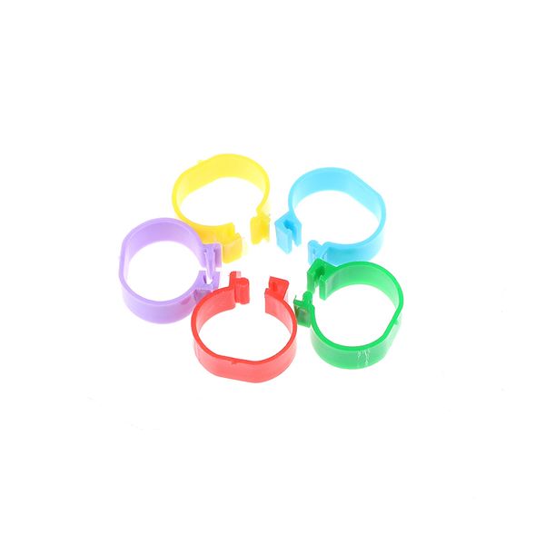20 pcs inside diameter 2.0 cm chicken ring hen pigeon leg band poultry dove birds quail goose chicks duck parrot clip rings
20 pcs inside diameter 2.0 cm chicken ring hen pigeon leg band poultry dove birds quail goose chicks duck parrot clip rings