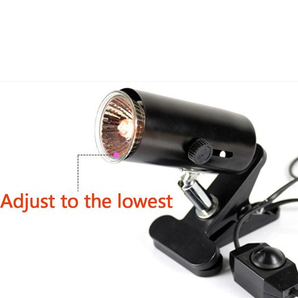 heating lamp holder clamp uva+uvb lamp set for turtle reptile infrared ceramic light bulb e27 clip-on base habitat lighting
heating lamp holder clamp uva+uvb lamp set for turtle reptile infrared ceramic light bulb e27 clip-on base habitat lighting