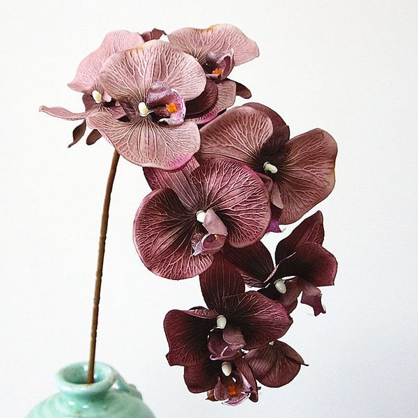 10heads big artificial orchid flowers european retro style moth butterfly orchids home wedding party decoration fake silk flores
10heads big artificial orchid flowers european retro style moth butterfly orchids home wedding party decoration fake silk flores