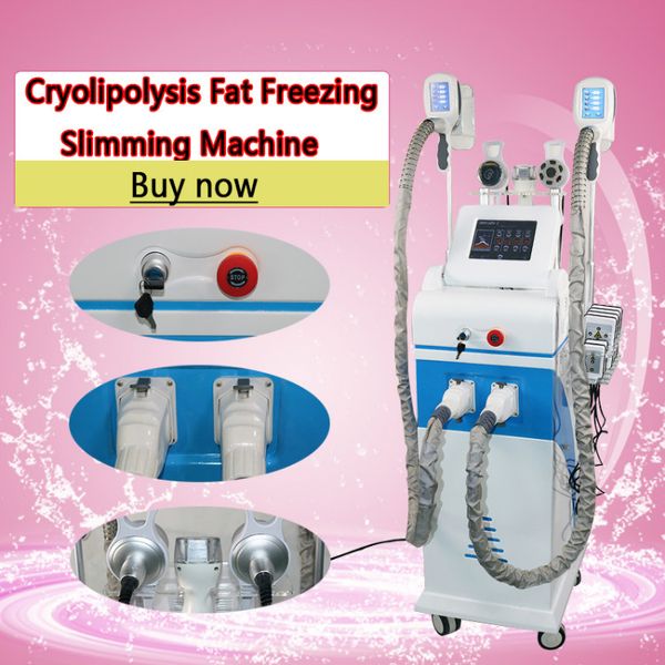 new fat ing machine cryolipolysis body slimming weight loss criolipolisis fat ing equipment salon home use
new fat ing machine cryolipolysis body slimming weight loss criolipolisis fat ing equipment salon home use