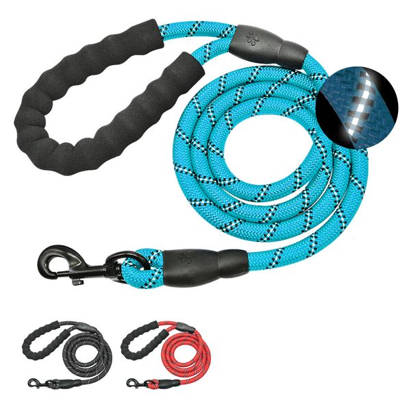 large dog leash reflective nylon rope pet long lead tracking mountain climbing for large medium pitbull
large dog leash reflective nylon rope pet long lead tracking mountain climbing for large medium pitbull