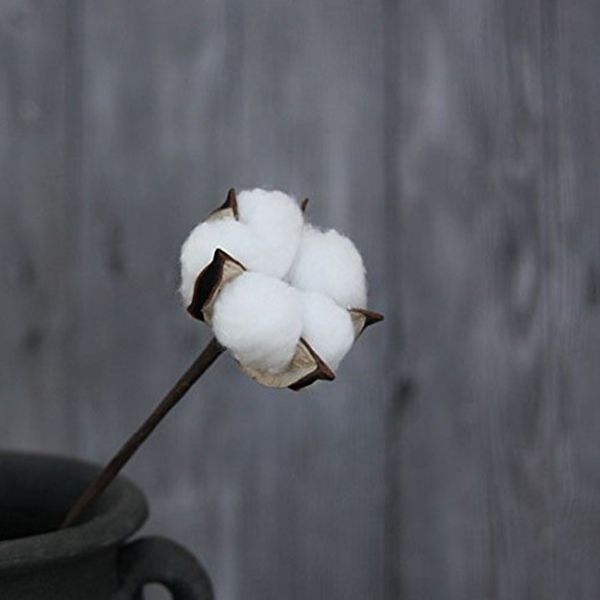 10 pack artificial cotton boll wire iron stem diy flower arrangement props home wedding l party decor approx 13 inch hig other festi
10 pack artificial cotton boll wire iron stem diy flower arrangement props home wedding l party decor approx 13 inch hig other festi