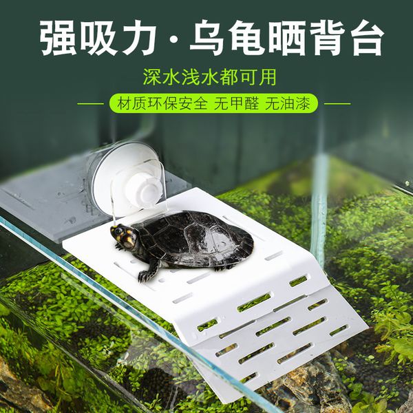 jar shaitai turtles back platform pets koh tao brazil tortoise turtle terrace fish tank landscape turtle crawl platform climb the ladder
jar shaitai turtles back platform pets koh tao brazil tortoise turtle terrace fish tank landscape turtle crawl platform climb the ladder
