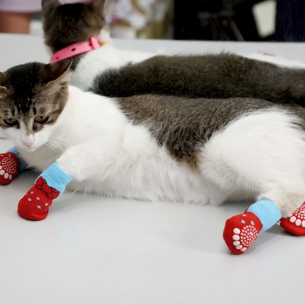 4 pcs/set pets cat socks indoor soft cotton warm non-slip cats sock easy washing cat shoe socks new
4 pcs/set pets cat socks indoor soft cotton warm non-slip cats sock easy washing cat shoe socks new