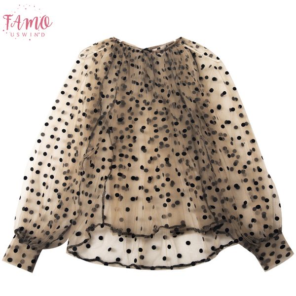 women embroidery lace flower lantern sleeve pullover polka dot voile long sleeve basic shirt new autumn winter o neck mesh gauze blouse, White
women embroidery lace flower lantern sleeve pullover polka dot voile long sleeve basic shirt new autumn winter o neck mesh gauze blouse, White
