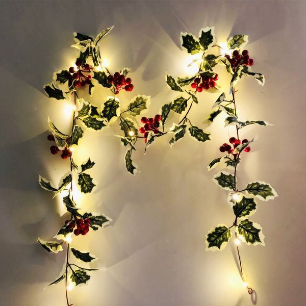 2019 new 2m led string artificial red holly berry christmas diy home garden decorations christmas supplies decoration for home
2019 new 2m led string artificial red holly berry christmas diy home garden decorations christmas supplies decoration for home