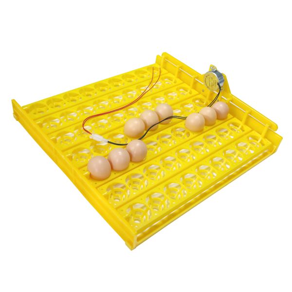 63 eggs incubator turn tray chickens ducks and other poultry incubator automatically turn eggs poultry incubation equipment
63 eggs incubator turn tray chickens ducks and other poultry incubator automatically turn eggs poultry incubation equipment