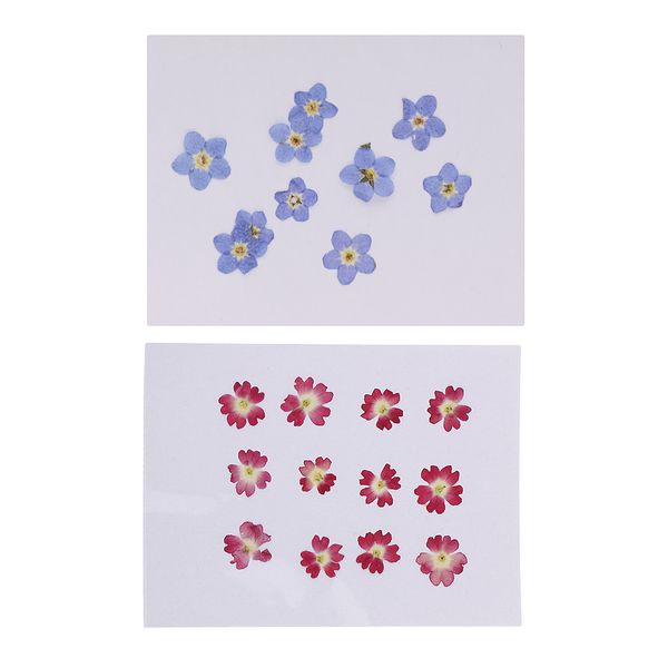 22 pieces mini forget-me-not verbena flowers pressed dried flowers for diy jewelry making craft necklace pendants charms
22 pieces mini forget-me-not verbena flowers pressed dried flowers for diy jewelry making craft necklace pendants charms
