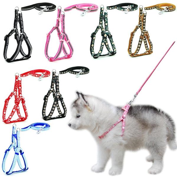 dog collars & leashes cat harness leash adjustable reflective collar for small outdoor walking chihuahua yorkshire terier
dog collars & leashes cat harness leash adjustable reflective collar for small outdoor walking chihuahua yorkshire terier
