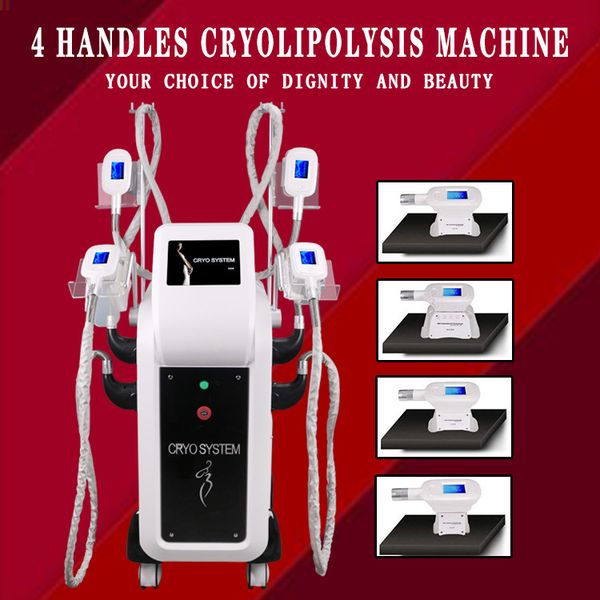 other beauty equipment 4 handles working together fat ing cryolipolysis cool shaping slimming body shape cryolipolysis machine
other beauty equipment 4 handles working together fat ing cryolipolysis cool shaping slimming body shape cryolipolysis machine