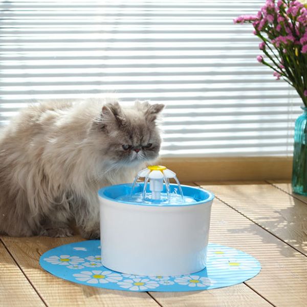 33см pet водной устройство автоматической подачи округлость пьющий mat зеленый синий food grade силиконовые нескользящие воды pad собака кош
33см pet водной устройство автоматической подачи округлость пьющий mat зеленый синий food grade силиконовые нескользящие воды pad собака кош