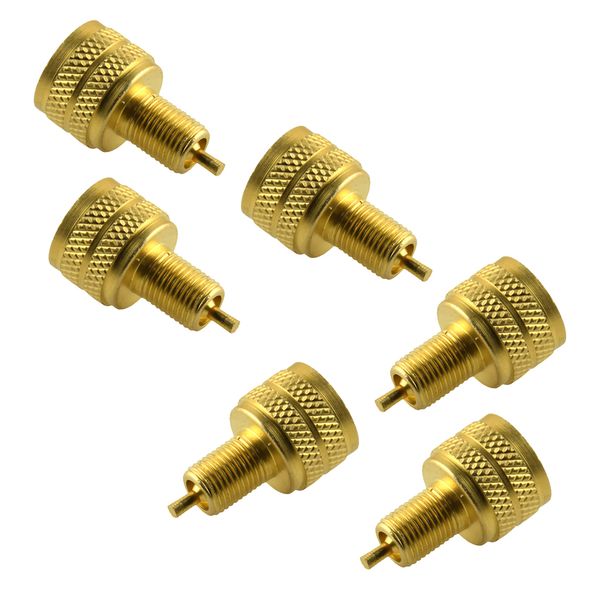 6pcs external gold tire bore valve stem adapter reducer 22mm length 
6pcs external gold tire bore valve stem adapter reducer 22mm length