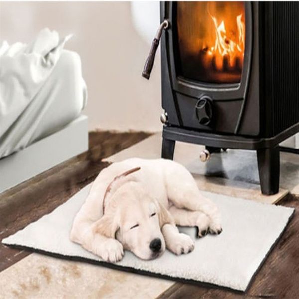 self heating dog cat pet bed thermal washable no blanket required fashion leisure warm soft comfortable
self heating dog cat pet bed thermal washable no blanket required fashion leisure warm soft comfortable