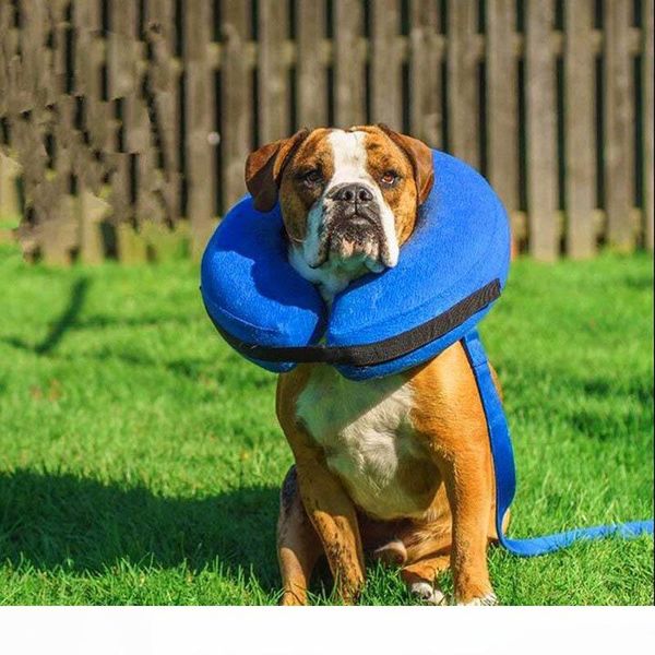 dog pet collar inflatable anti-bite injury recovery neck protective surgery cone xjs789
dog pet collar inflatable anti-bite injury recovery neck protective surgery cone xjs789