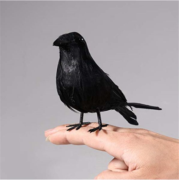 halloween realistic looking feathered crows props for home décor and party decoration raven birds
halloween realistic looking feathered crows props for home décor and party decoration raven birds