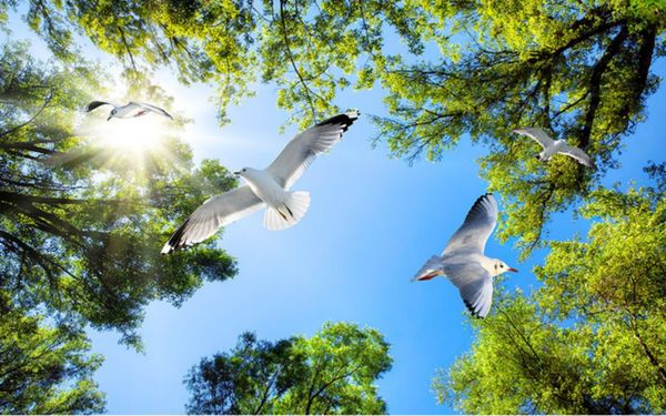 custom 3d wallpaper roll fantasy green forest sky pigeon bedroom living room ceiling decoration mural wall
custom 3d wallpaper roll fantasy green forest sky pigeon bedroom living room ceiling decoration mural wall