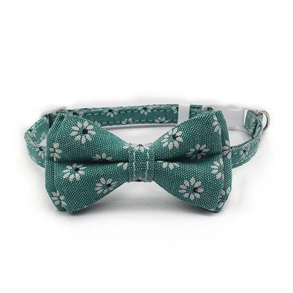 traumdeutung small cats collars pets accessories tag personalized supplies for dogs collars necklace kitten puppy chihuahua other cat suppli
traumdeutung small cats collars pets accessories tag personalized supplies for dogs collars necklace kitten puppy chihuahua other cat suppli