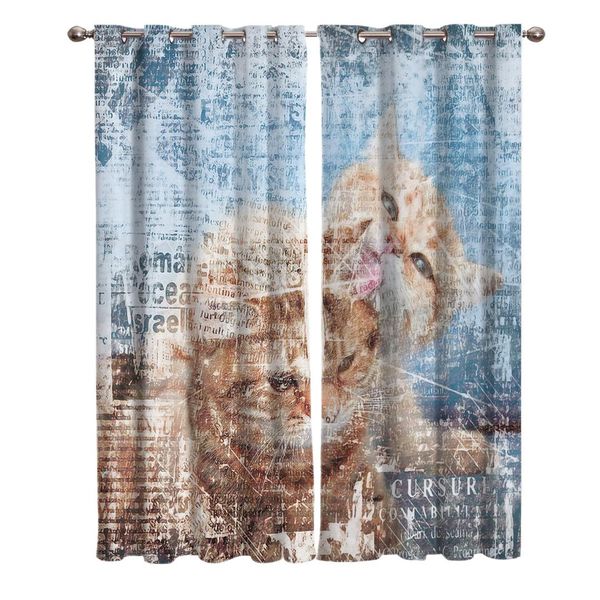 two cats on a retro abstract background window living room kitchen outdoor indoor