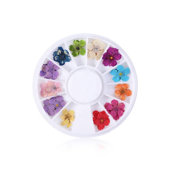 3d art real nail dry flower mixed natural nail dried flowers art decoration 3d manicure, Silver;gold
3d art real nail dry flower mixed natural nail dried flowers art decoration 3d manicure, Silver;gold