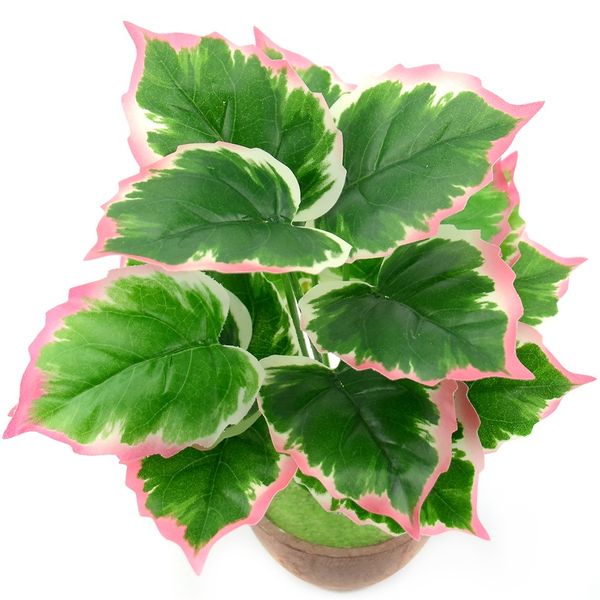 decorative flowers & wreaths 1 bouquet/18 leaves artificial silk palm monstera plant for hawaii luau party decorations beach wedding table d
decorative flowers & wreaths 1 bouquet/18 leaves artificial silk palm monstera plant for hawaii luau party decorations beach wedding table d