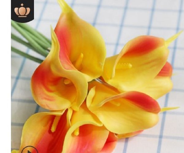 2020 home decoration flower pu single mini calla living room decoration artificial flower wholesale high grade wedding yellow
2020 home decoration flower pu single mini calla living room decoration artificial flower wholesale high grade wedding yellow