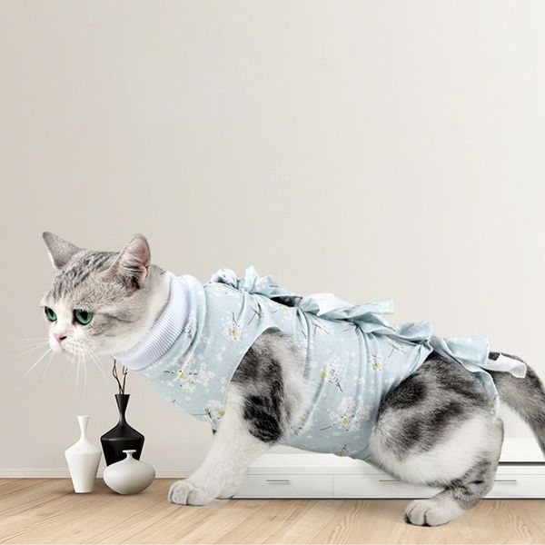 new thread binding style summer anti-licking anti-biting and anti-struggling breathable cat sterilization clothing
new thread binding style summer anti-licking anti-biting and anti-struggling breathable cat sterilization clothing