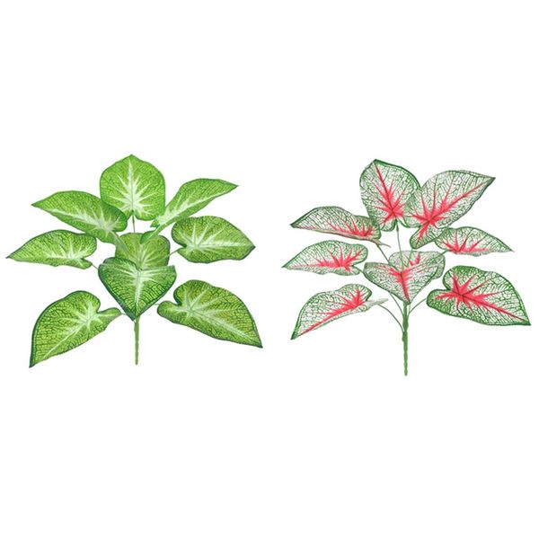искусственный alocasia листьев растения поддельные дерева листья зелень декоративные партии пластиковые свадебные украшения дома
искусственный alocasia листьев растения поддельные дерева листья зелень декоративные партии пластиковые свадебные украшения дома